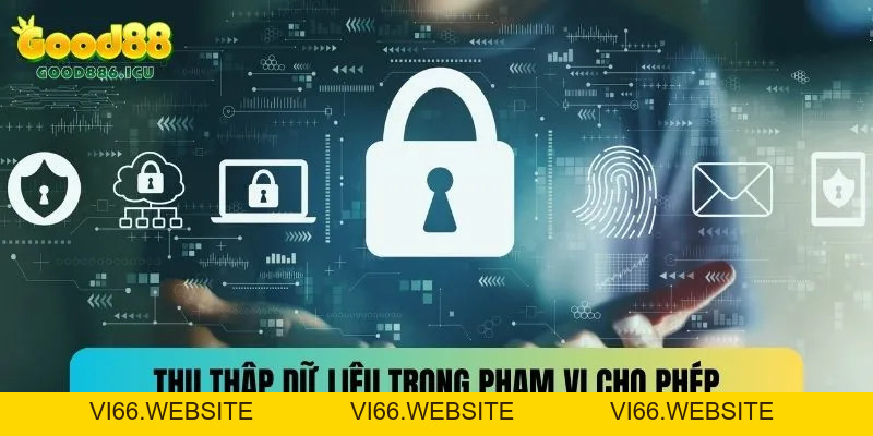 Chính Sách Bảo Mật Good88 - Lá Chắn Bảo Vệ Dữ Liệu An Toàn - vi66